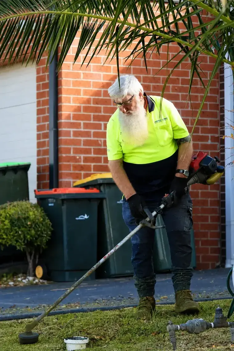 Line trimming the grass around wheelie bins beside a brick wall